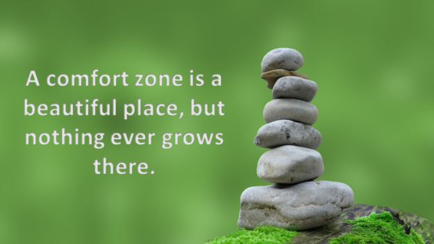 A comfort zone is a beautiful place, but nothing ever grows there.